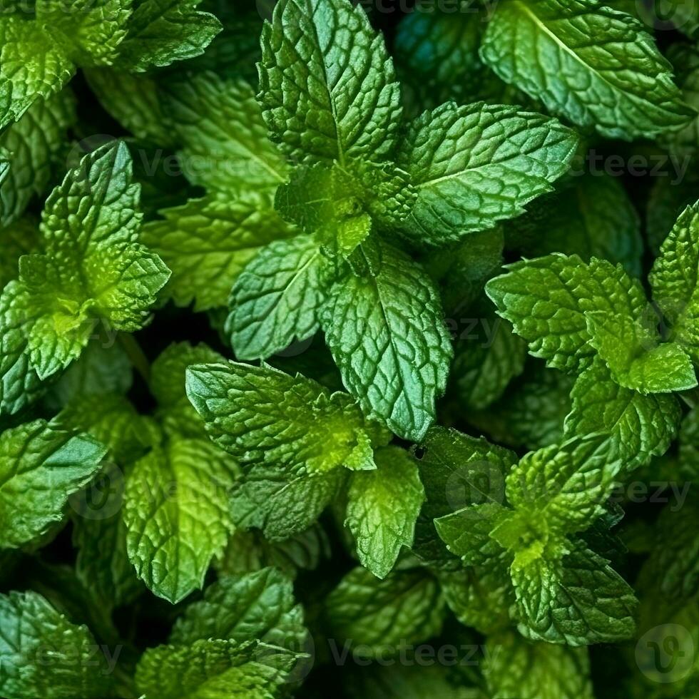 Fresh mint leaves arranged in a neat pattern, showcasing their vibrant green color and natural texture. Generative AI photo