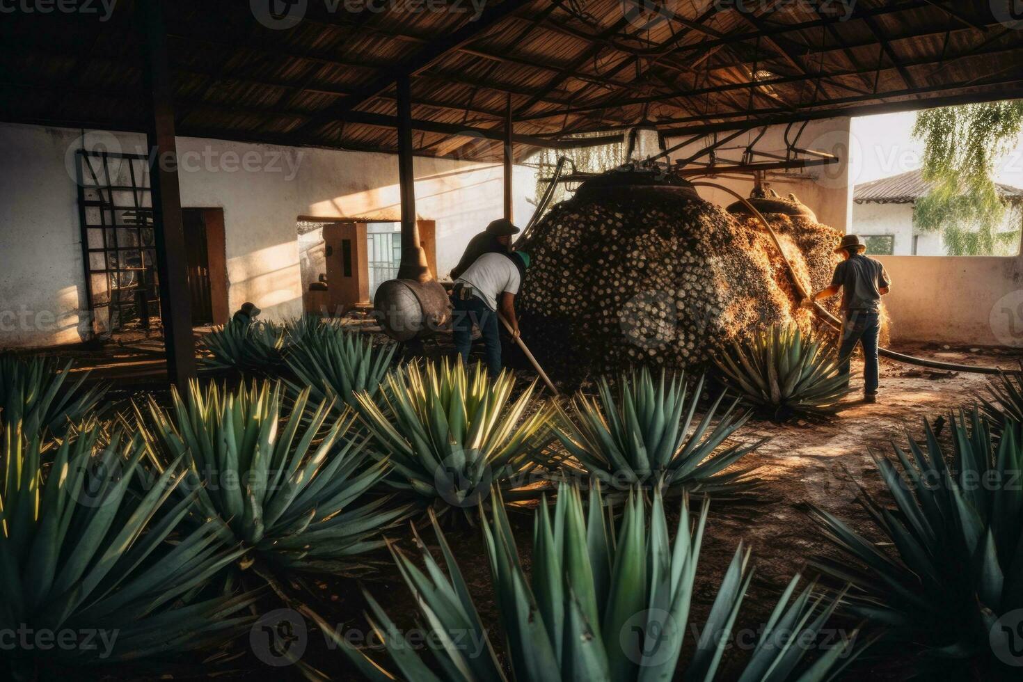 A shot of a tequila distillery in Mexico, with workers tending to the agave plants and stills, emphasizing the traditional and artisanal nature of the product. Generative AI photo