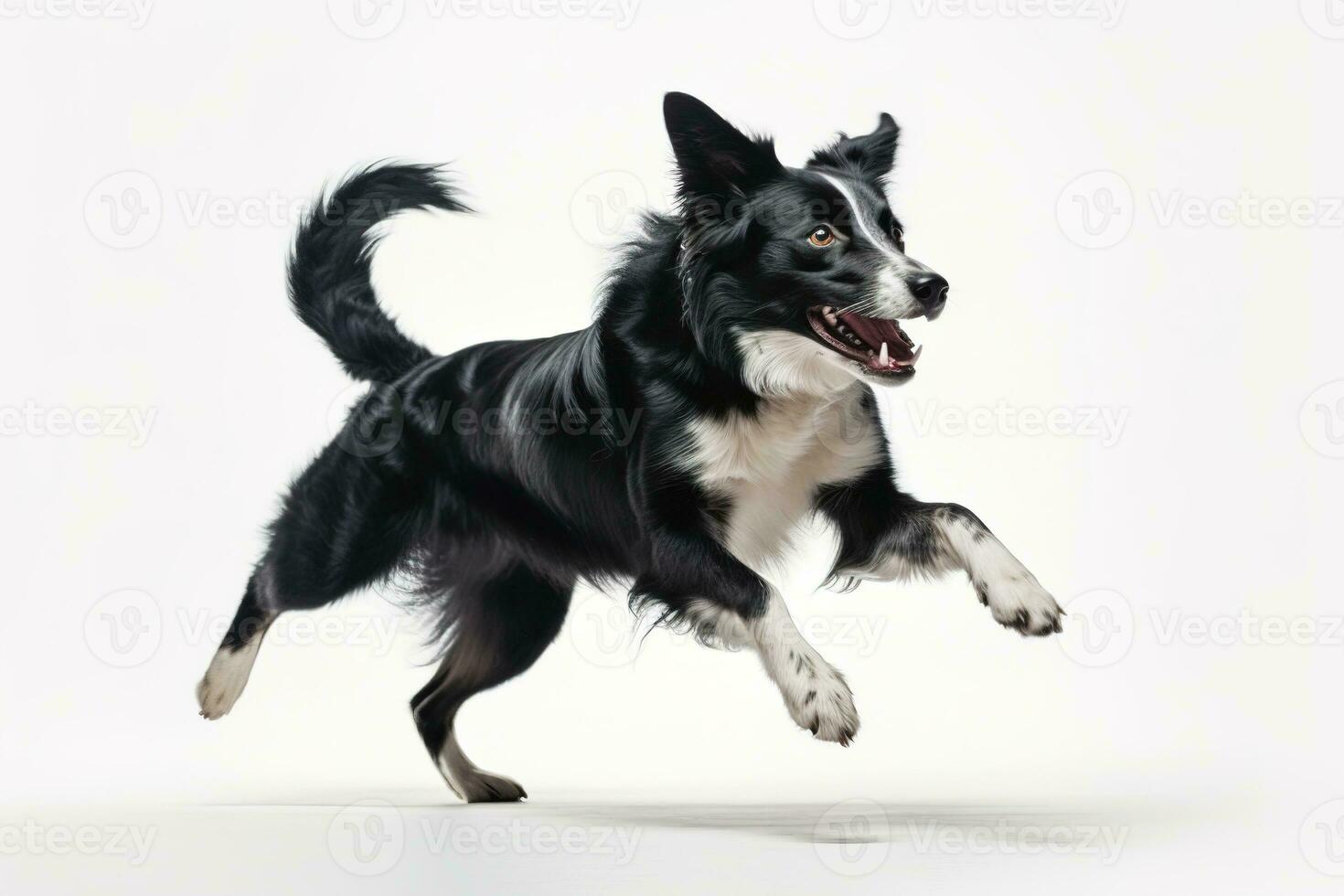 un juguetón, acción Disparo de un perro felizmente atrapando un juguete pelota, capturar el canino energía, agilidad, y amor para Tiempo de juego en blanco antecedentes. generativo ai foto