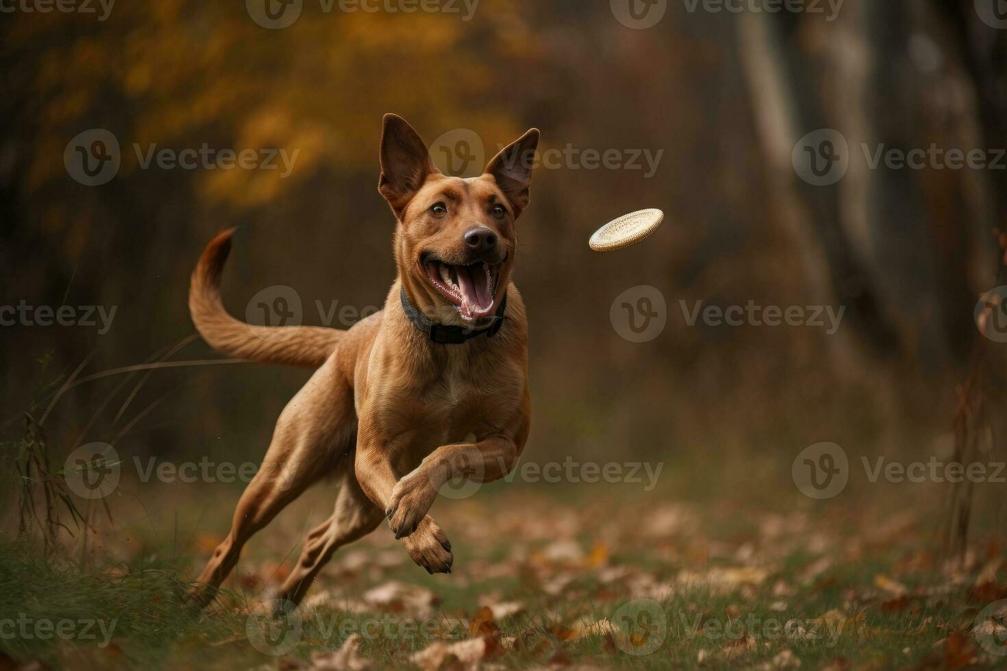Depict a joyful dog chasing and catching a Frisbee thrown by its owner, with the dog's tongue hanging out and tail wagging in excitement. Generative AI photo