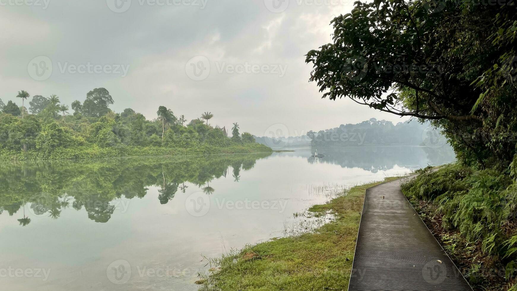 nature trial landscape for run and activity in Morning panorama of lake in the Lake District in Singapore reservoir photo