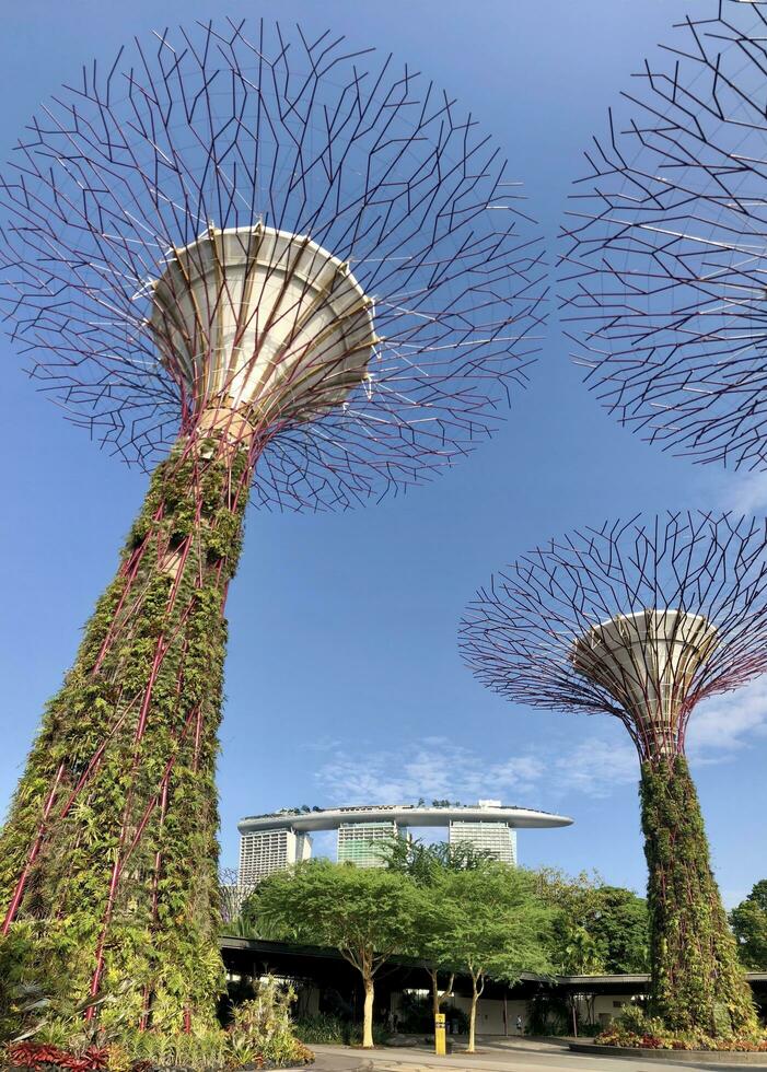 Singapur, agosto 31 2023 jardín por el bahía en Singapur horizonte y ver de rascacielos ver centro de deportes acuáticos bahía ver de negocio distrito foto