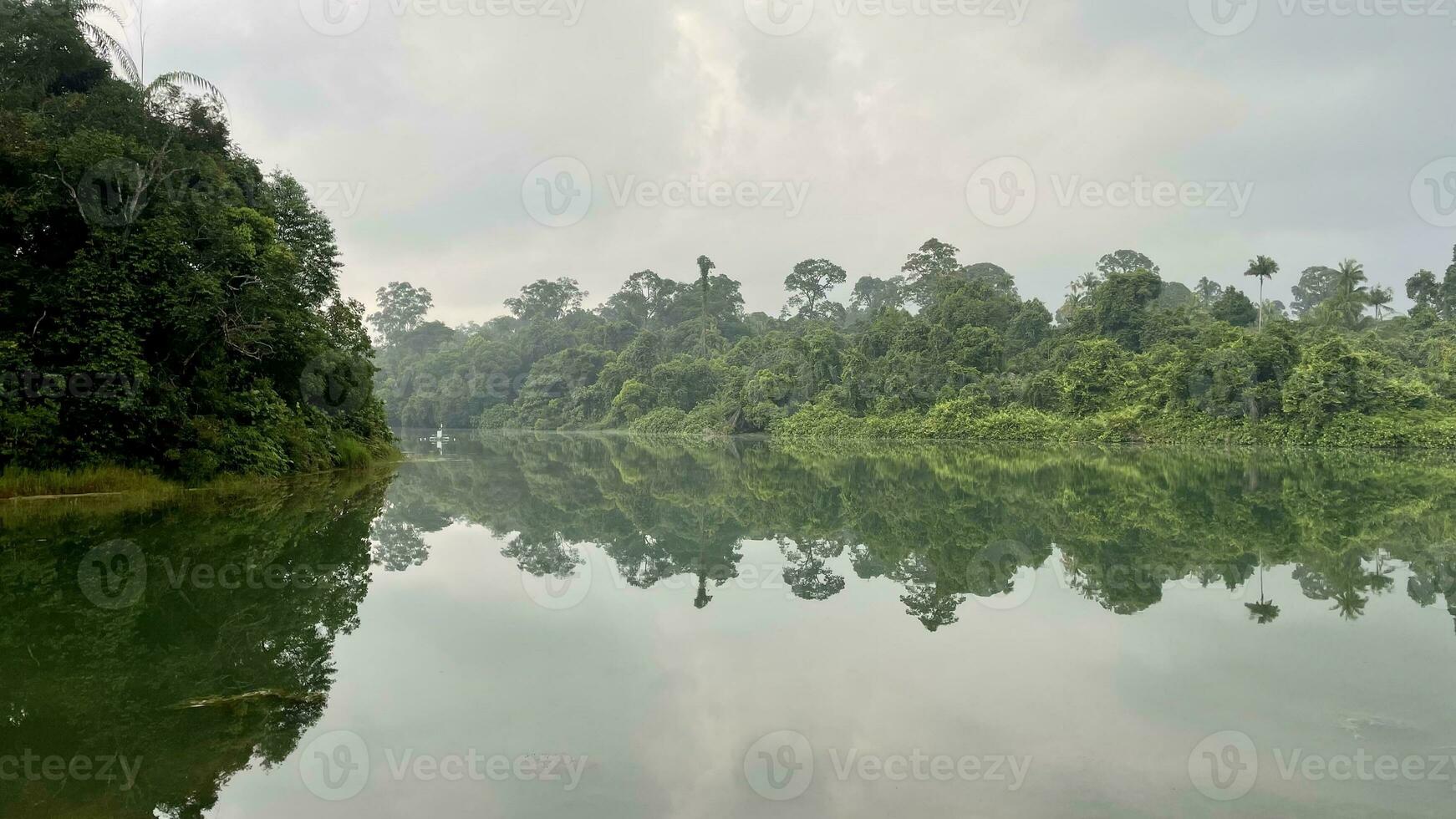 nature trial landscape for run and activity in Morning panorama of lake in the Lake District in Singapore reservoir photo