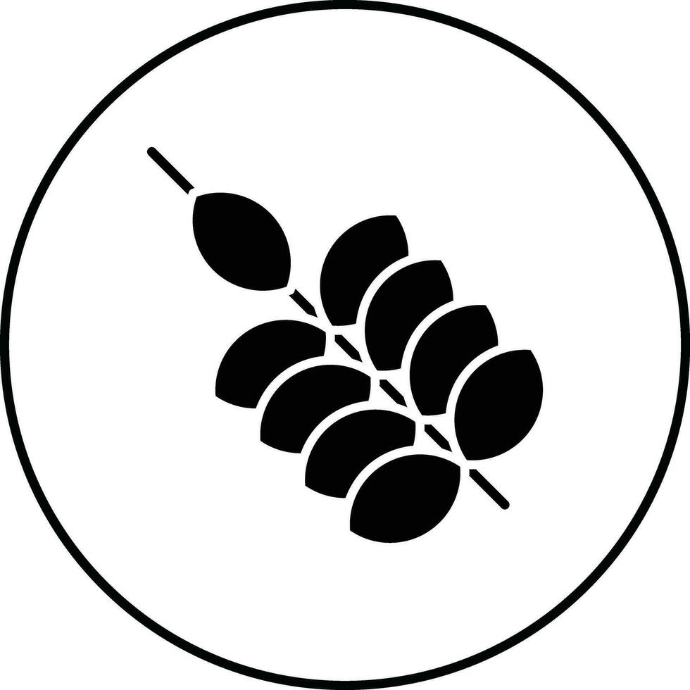 Wheat Vector Icon