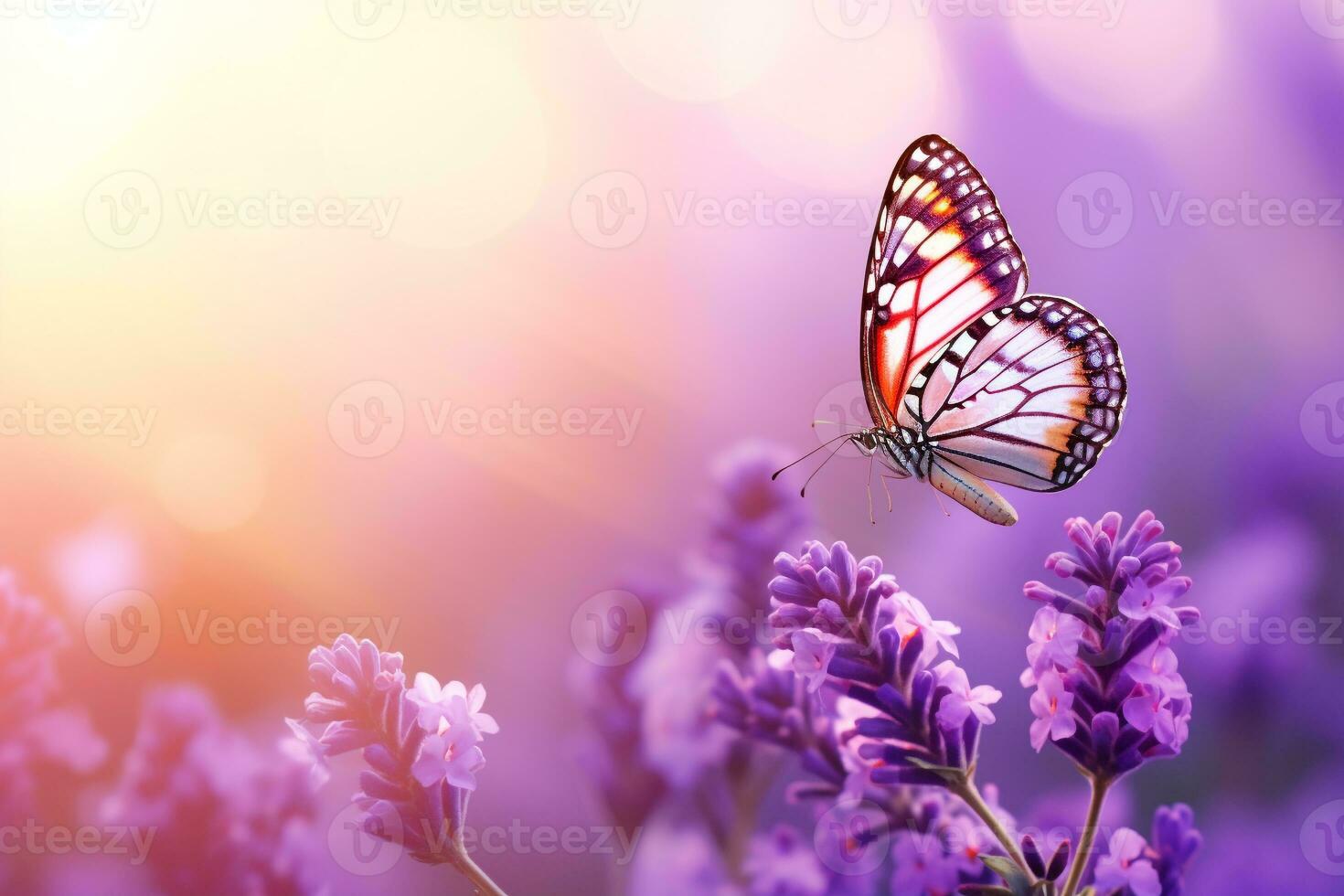 Macro photography, butterflies in the flowers with morning light with copy space.Created with Generative AI technology. photo