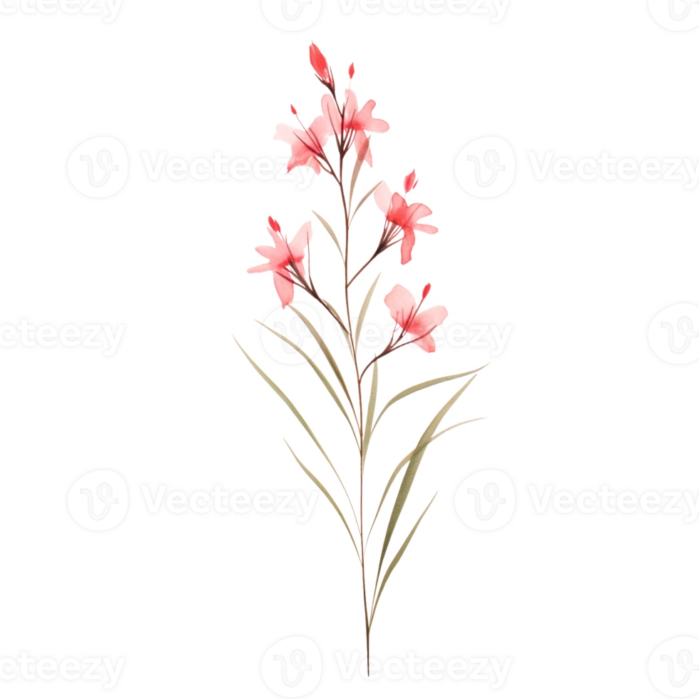 Wild flower watercolor on isolated background.Created with Generative AI technology. png