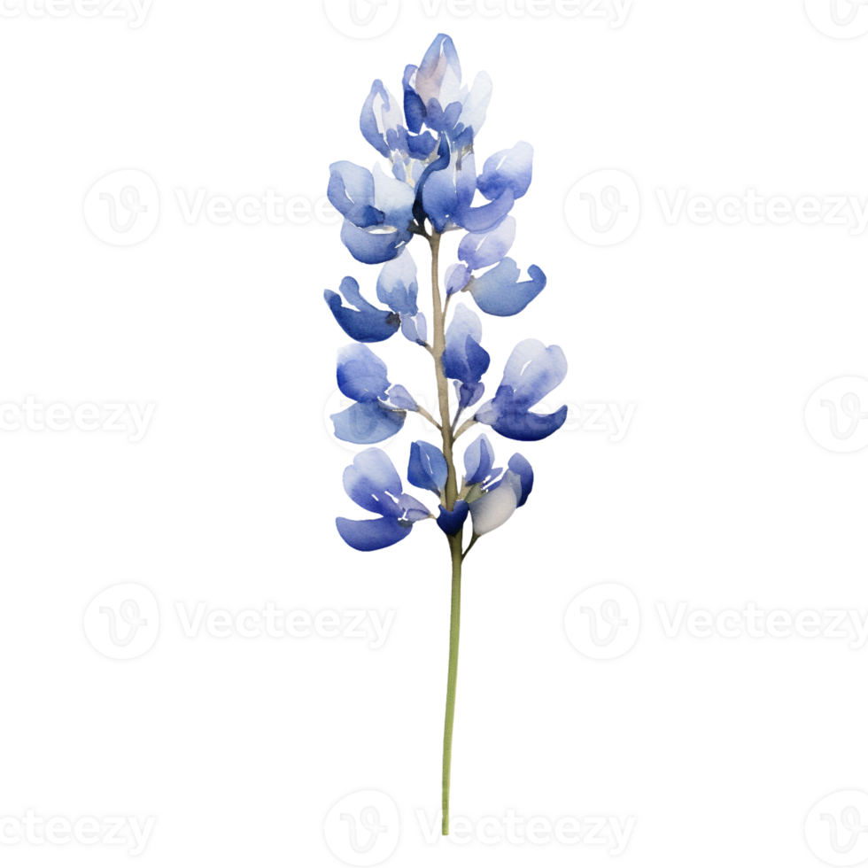Wild flower watercolor on isolated background.Created with Generative AI technology. png