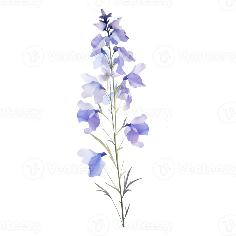 Wild flower watercolor on isolated background.Created with Generative AI technology. png