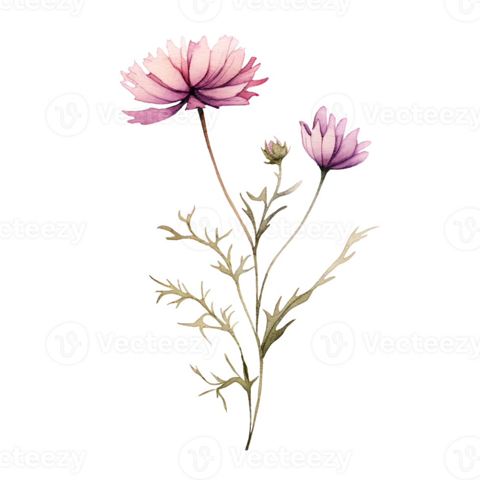 Wild flower watercolor on isolated background.Created with Generative AI technology. png