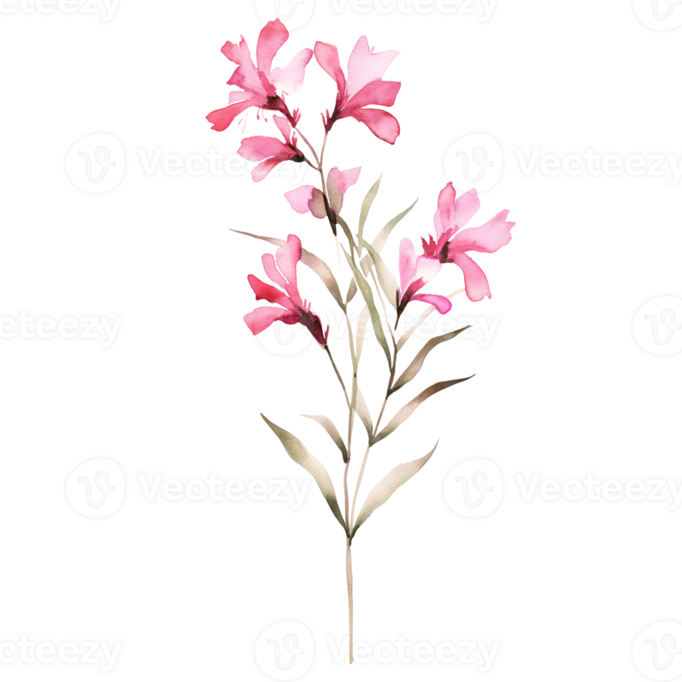 Wild flower watercolor on isolated background.Created with Generative AI technology. png