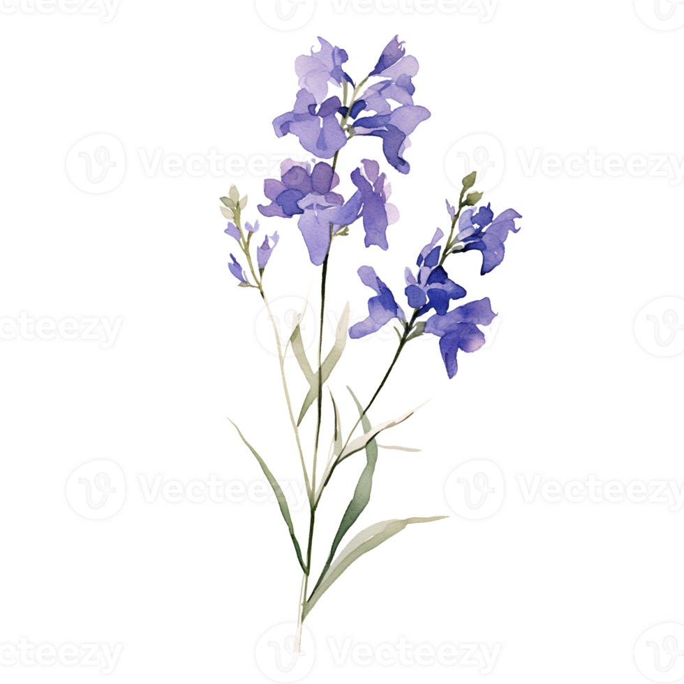 Wild flower watercolor on isolated background.Created with Generative AI technology. png