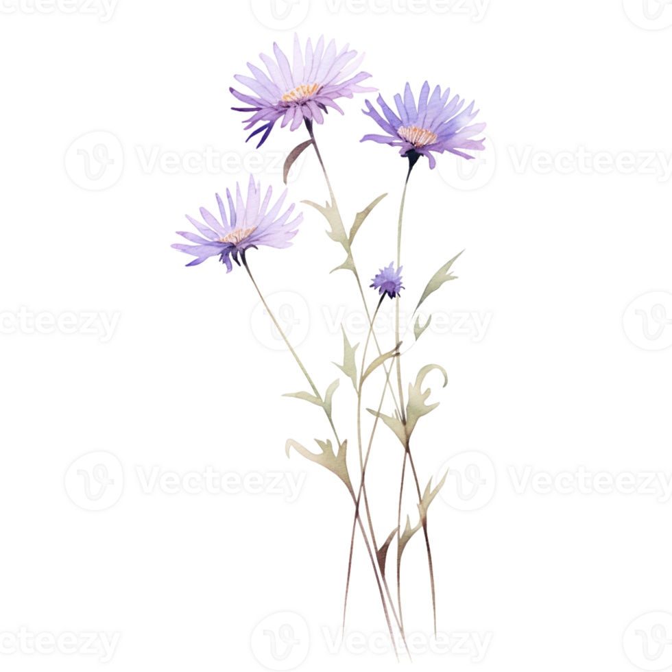 Wild flower watercolor on isolated background.Created with Generative AI technology. png