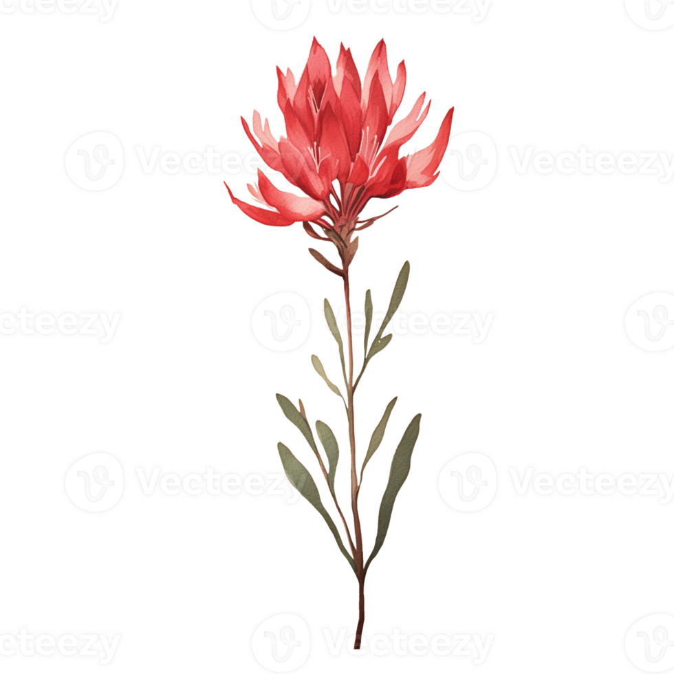 Wild flower watercolor on isolated background.Created with Generative AI technology. png