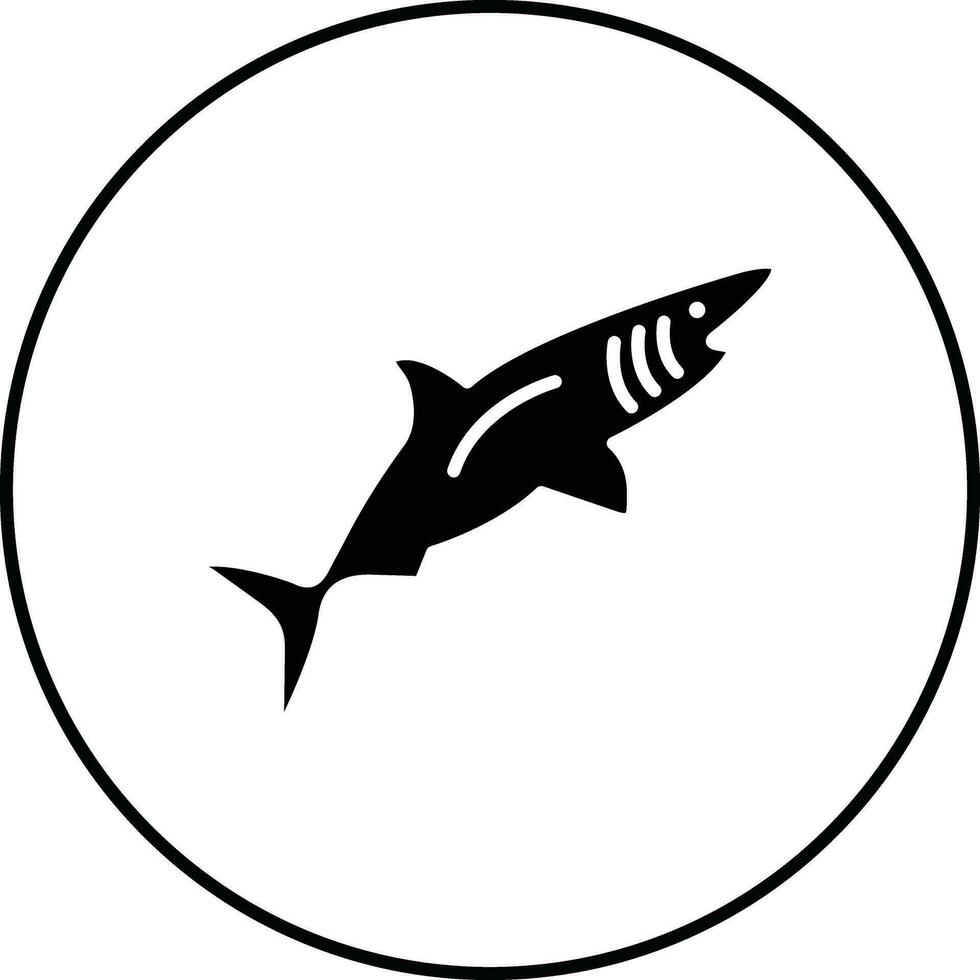 Shark Vector Icon