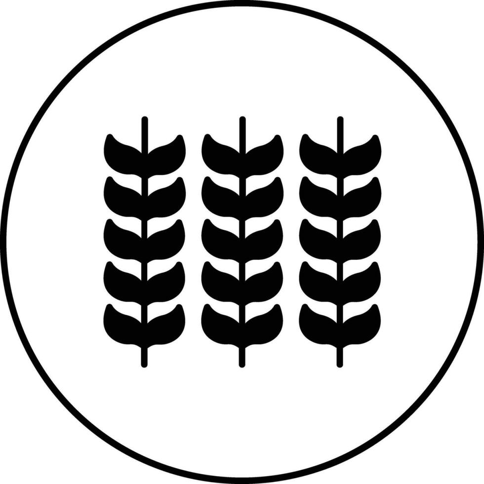 Wheat Vector Icon