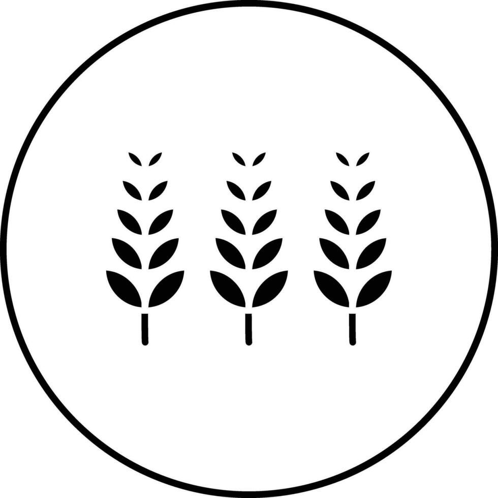 Wheat Vector Icon