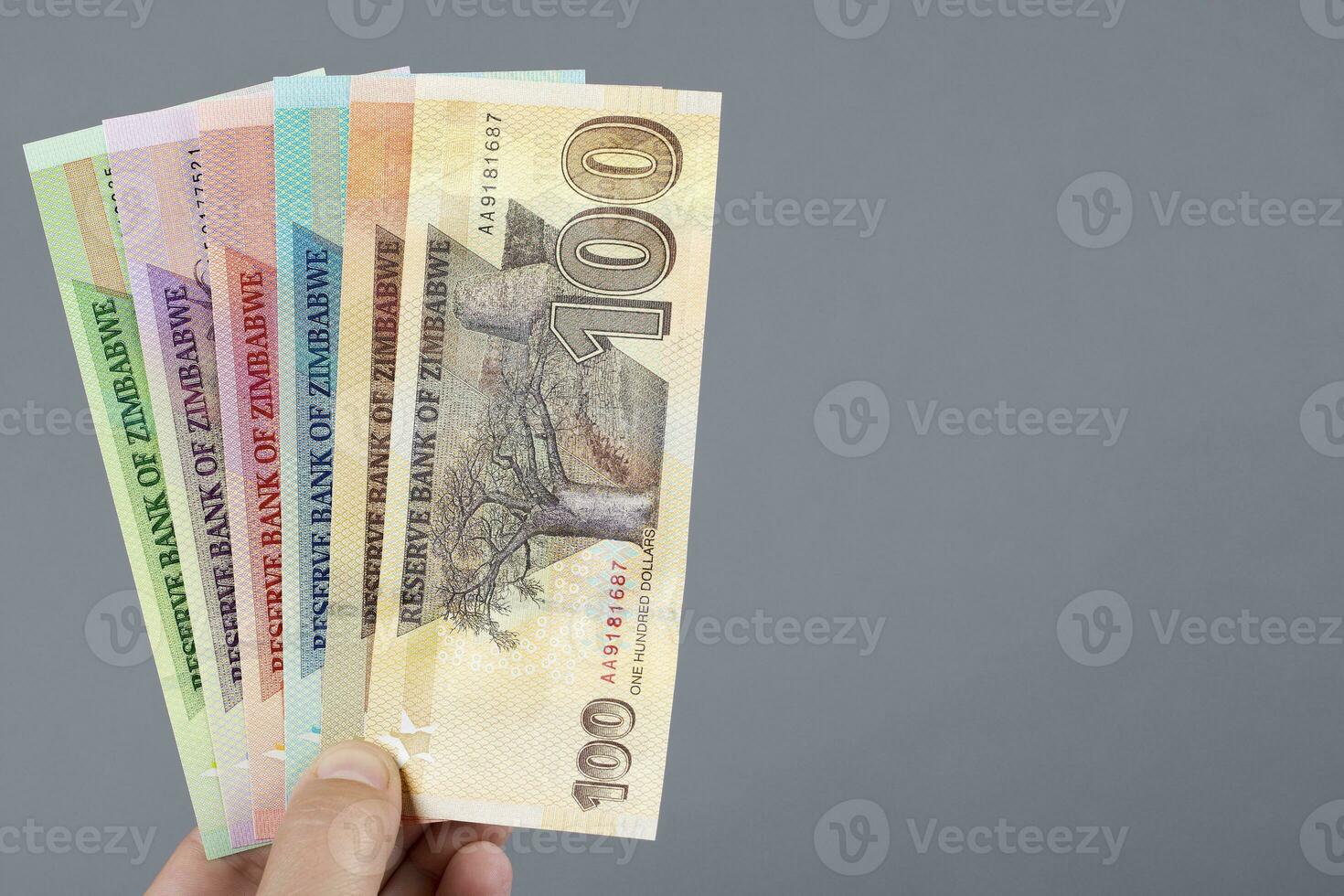 Zimbabwean money in the hand on a gray background photo