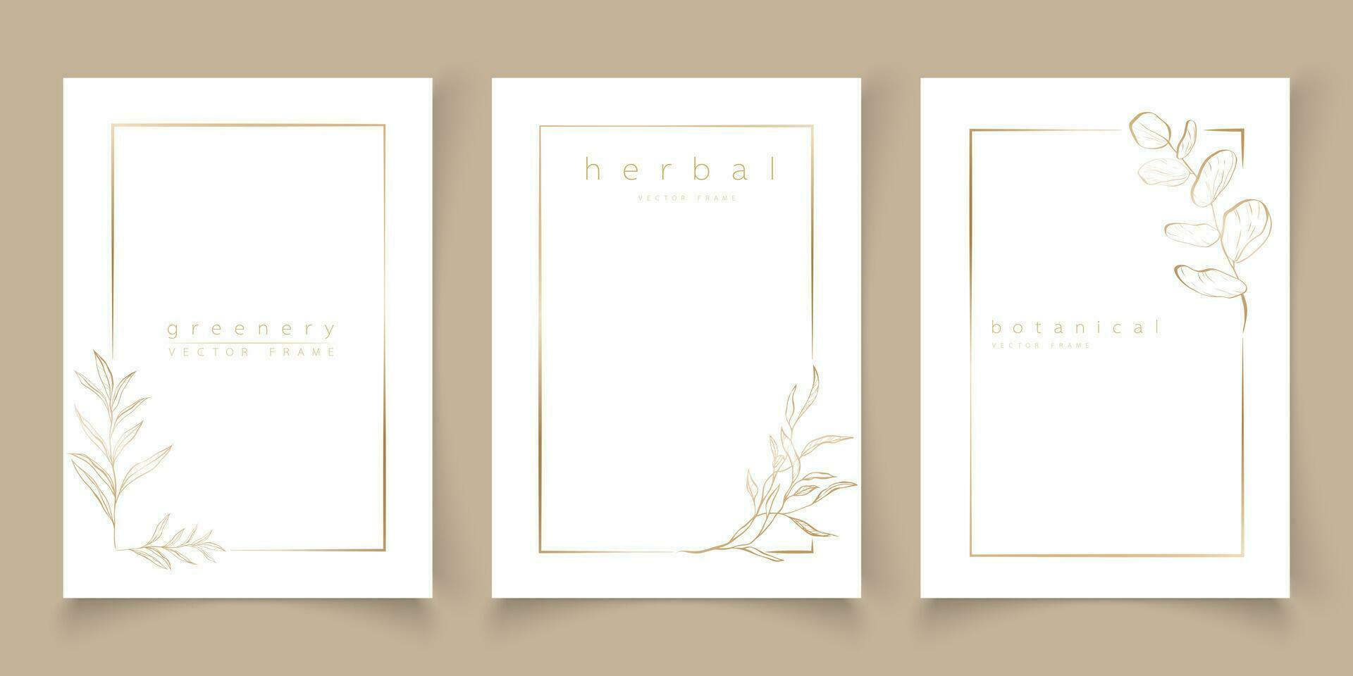 Set of frame templates in minimal linear style with hand drawn branches and leaves. Elegant frame. Botanical vector illustration for labels, corporate identity, wedding invitation, logo, save the date