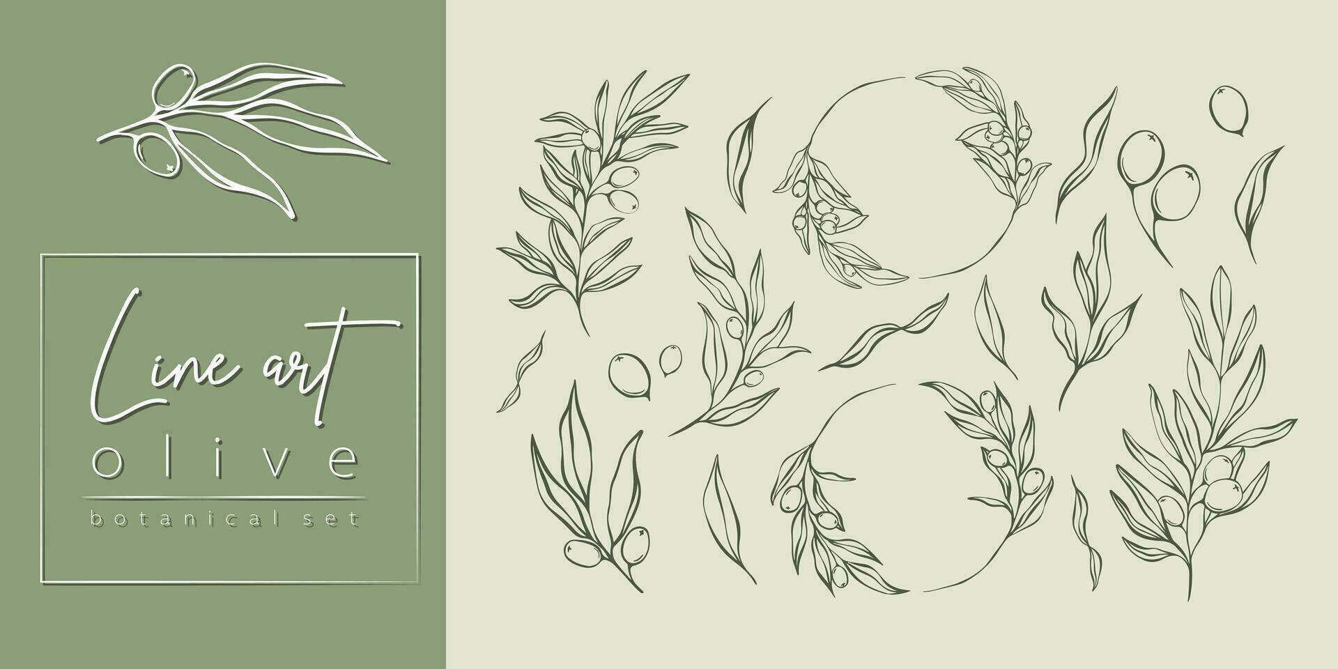 Set of Olive Branches and leaves  in Line Minimal Style. Vector Illustrations of Branches With fruits and Leaves for logos, patterns, greeting cards, wedding Invitations, social media, web design.