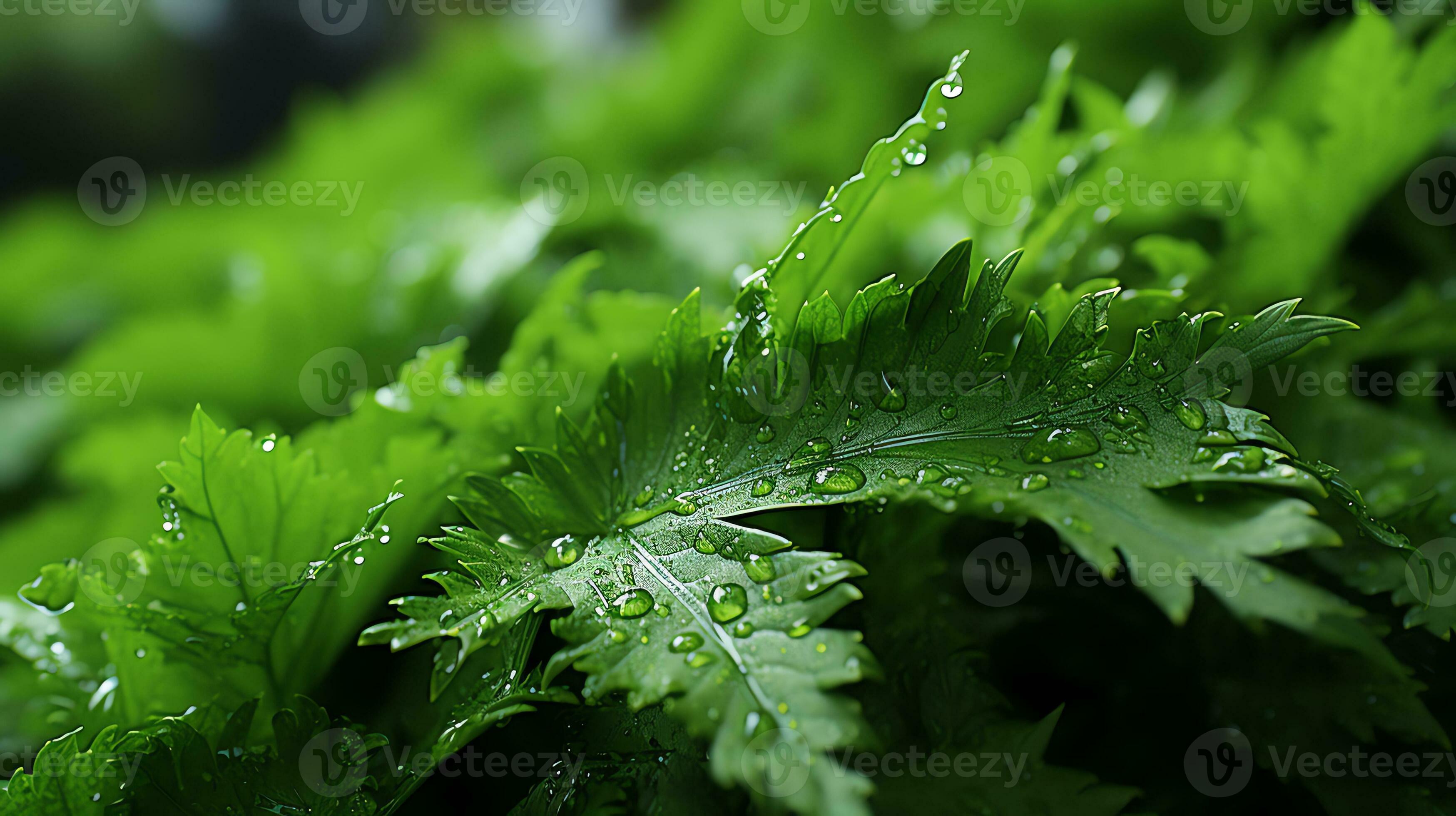 abstract-background-photo-design-ideas-ai-generative-31576335-stock