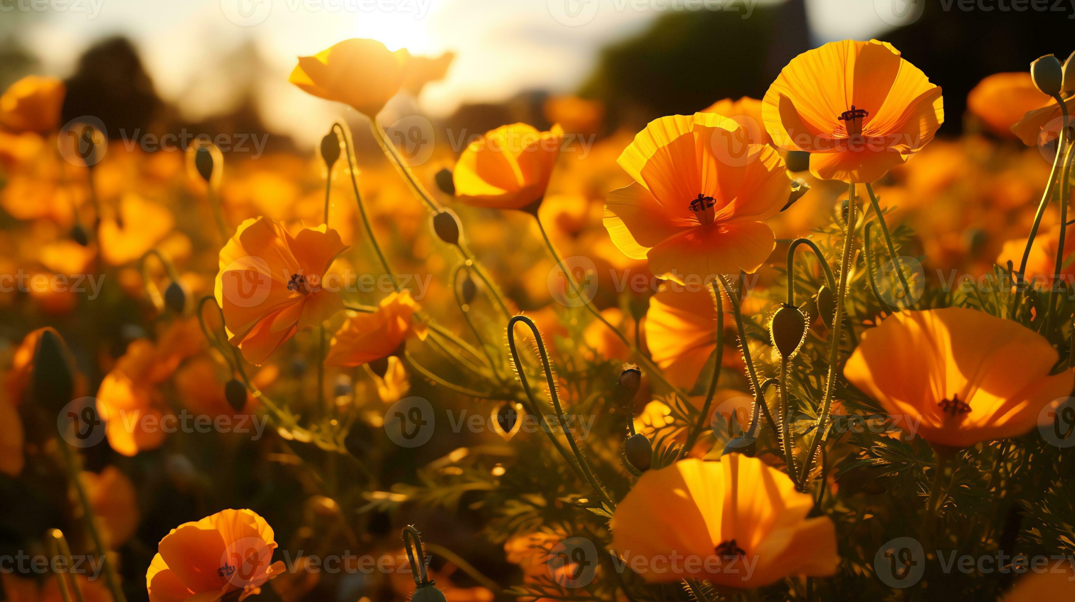 pink flowers in the desert with blue sky AI Generative 31578064 Stock