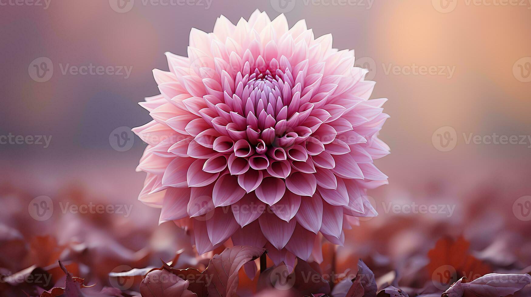 pink flowers in the desert with blue sky AI Generative 31578096 Stock