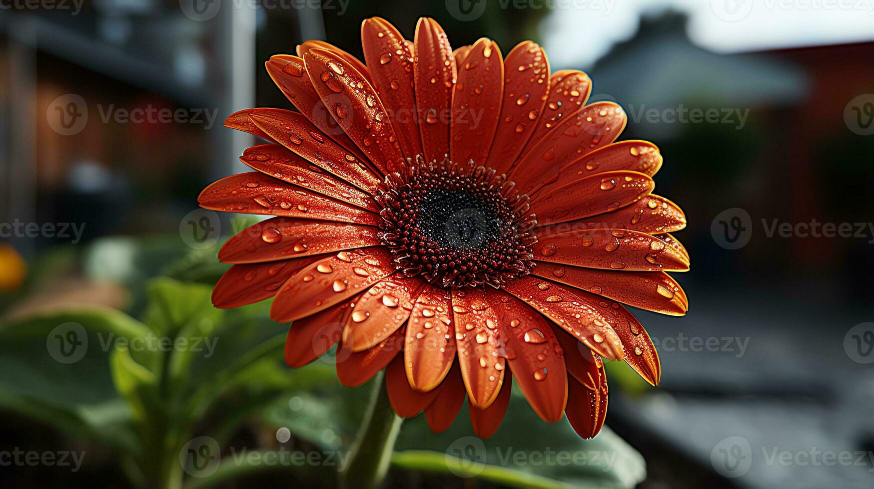 un manojo de rosado flores en un negro envase ai generativo foto