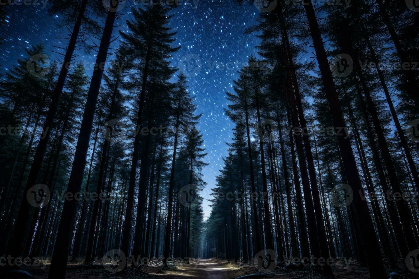 Majestic pine forest in night. Generative AI photo