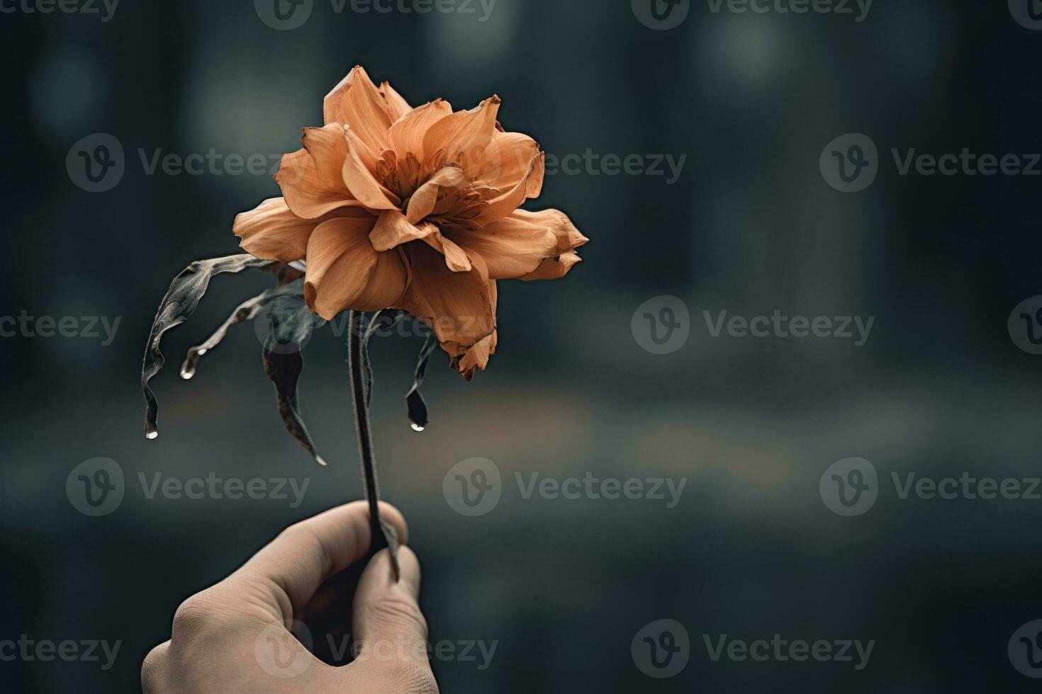 Joy Loss in Wilted Flower. Generative AI photo