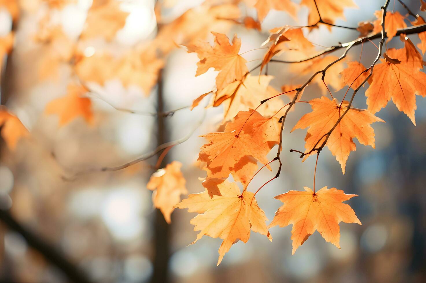 Dry autumn fall maple leaves in nature AI Generative photo