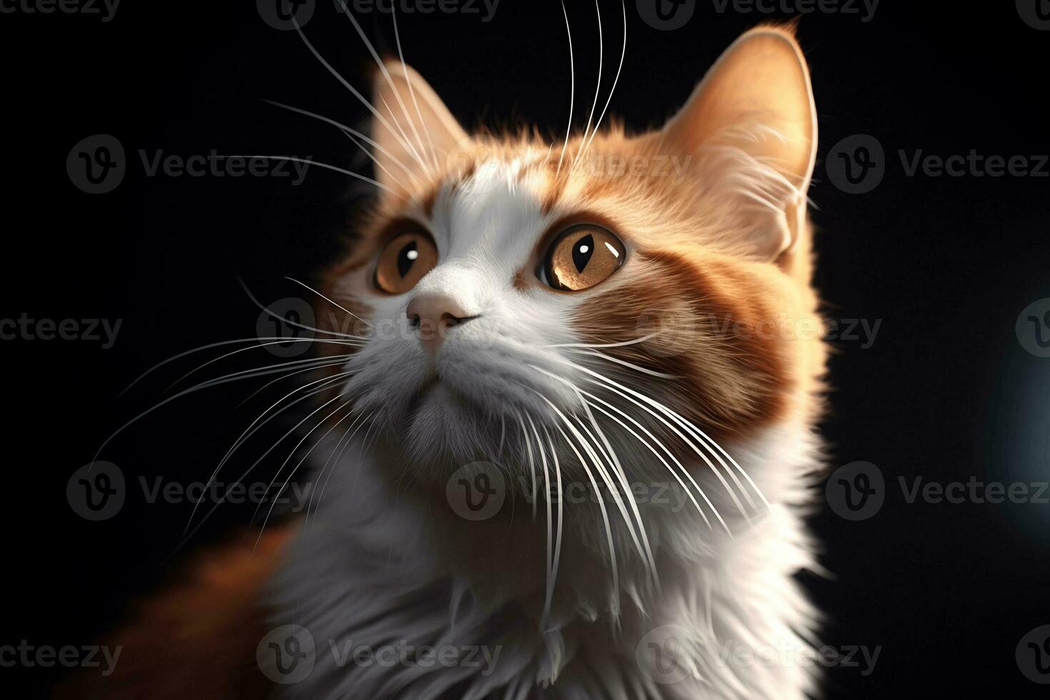 playful cat perfect face and eyes highly detailed AI Generative photo