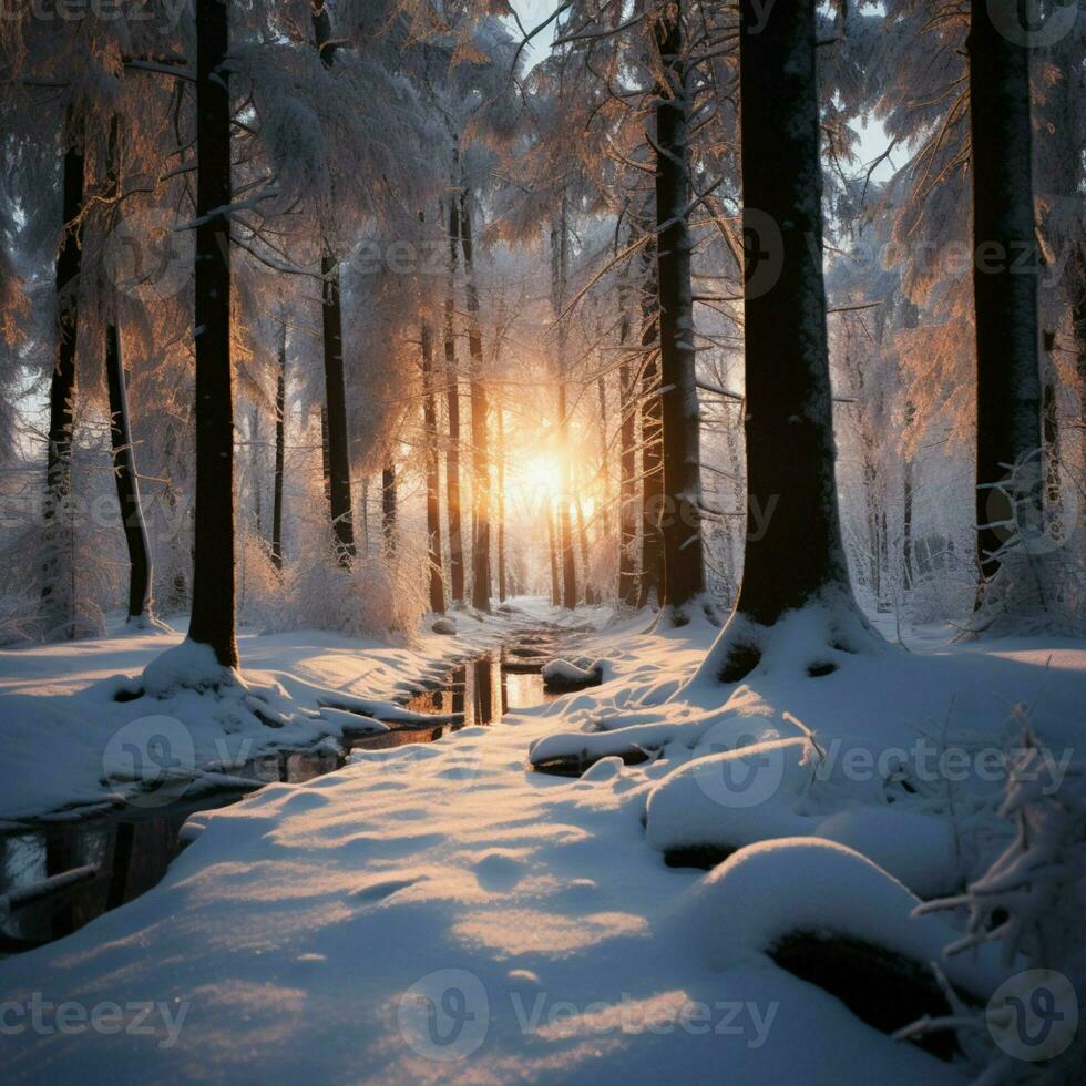 Tranquil winter woods illuminated by the setting suns soft glow AI Generated photo