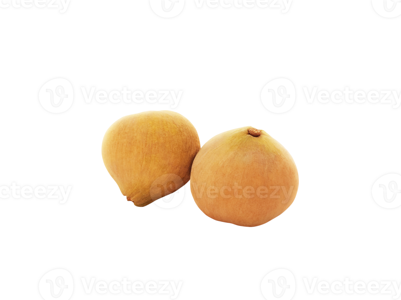 Santol fruit PNG transparent