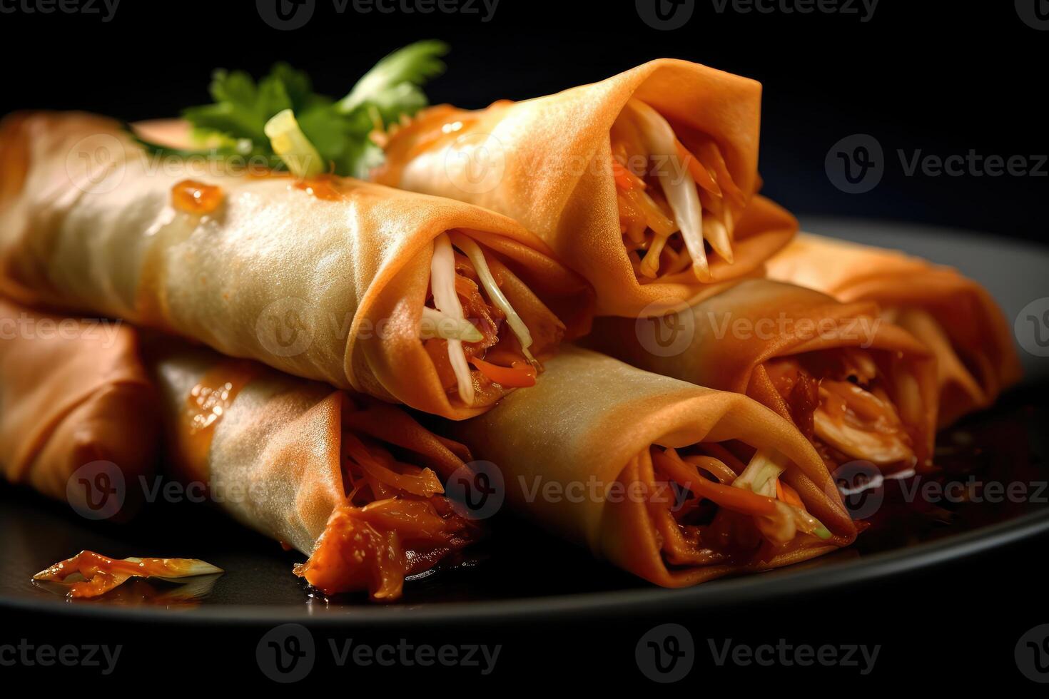 chicken spring rolls with vegetables and sauce photo