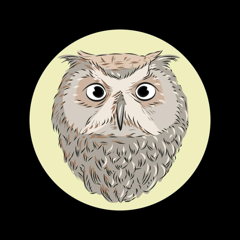 Owl Vector Illustration