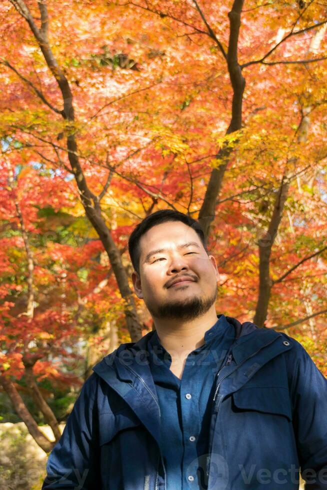 asiático hombre debajo arce árbol hojas durante otoño con color cambio en hoja en naranja amarillo y rojo, que cae natural antecedentes foto