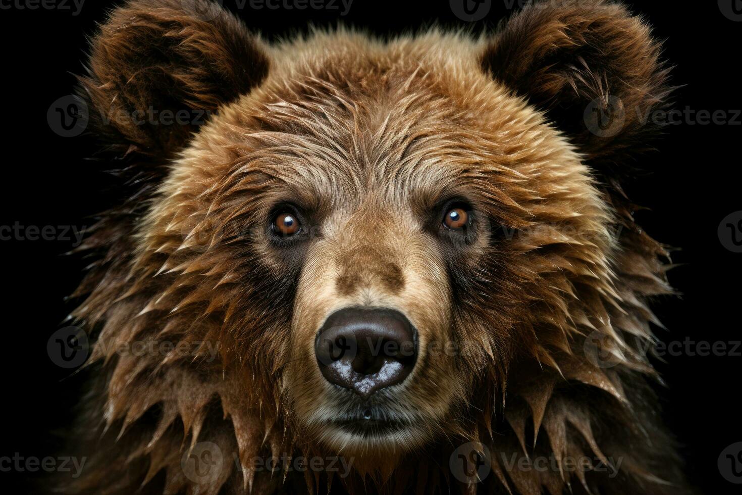 wild bear dangerous animal or mammals professional advertising photography AI Generated photo