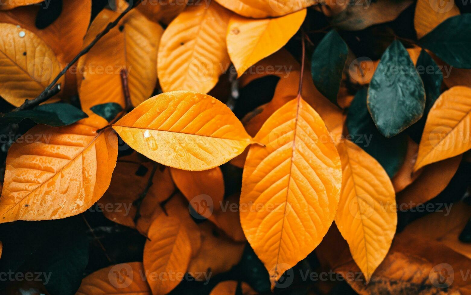 Close up of colorful autumn leaves texture. Generative AI photo