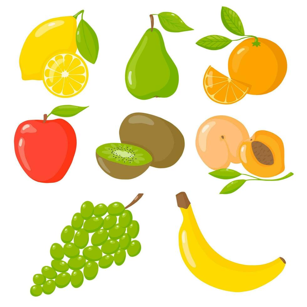 Fruta conjunto de vector ilustración, sano alimento, vegano, vegetariano, Fruta pegatinas