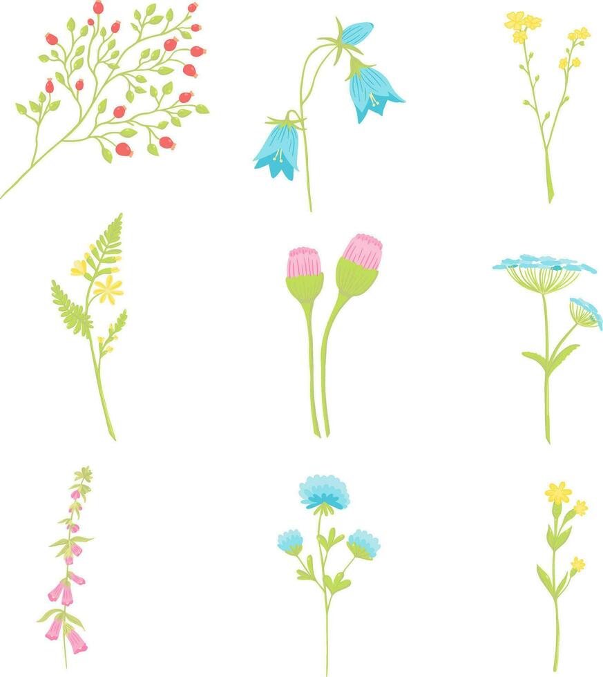 Floral set, tiny flowers vector illustrations, botanical