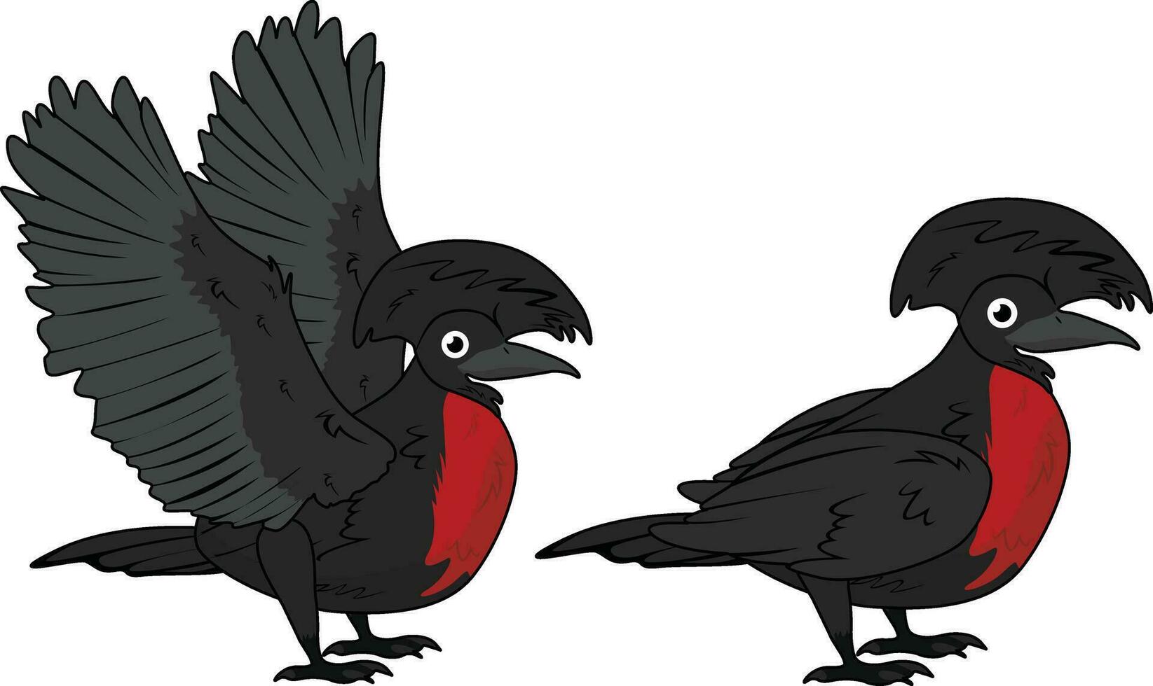 Umbrella bird in flying and standing pose vector
