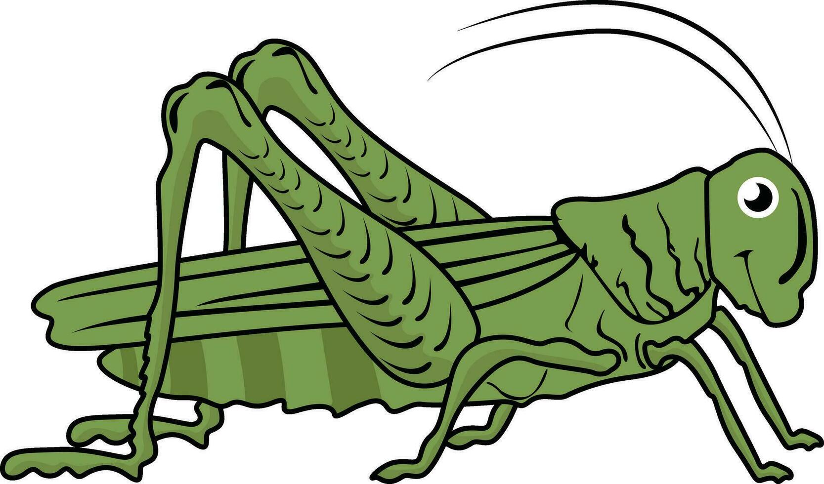 Grasshopper designed using lines. A Bug art illustration. vector