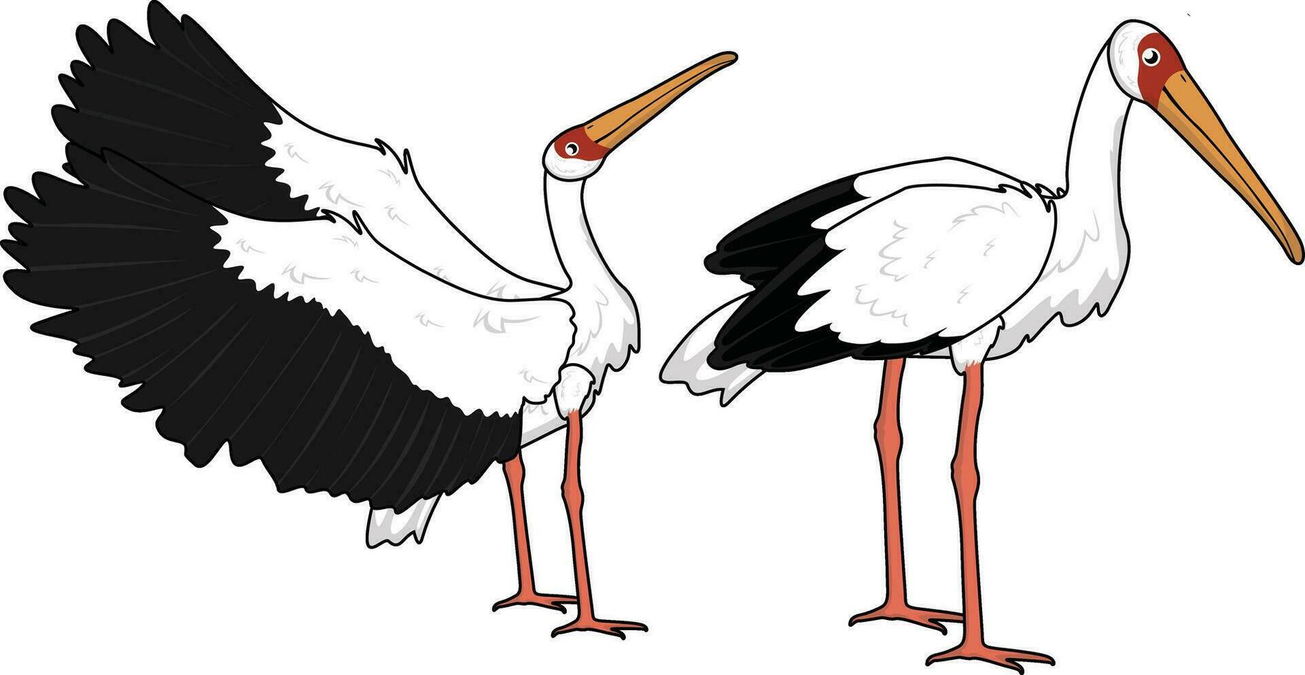 Cute Stork designed using vector lines. You can adjust the line thickness.