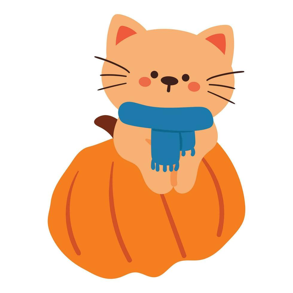 hand drawing cartoon cat wearing blue scarf playing with pumpkin. cute animal sticker vector