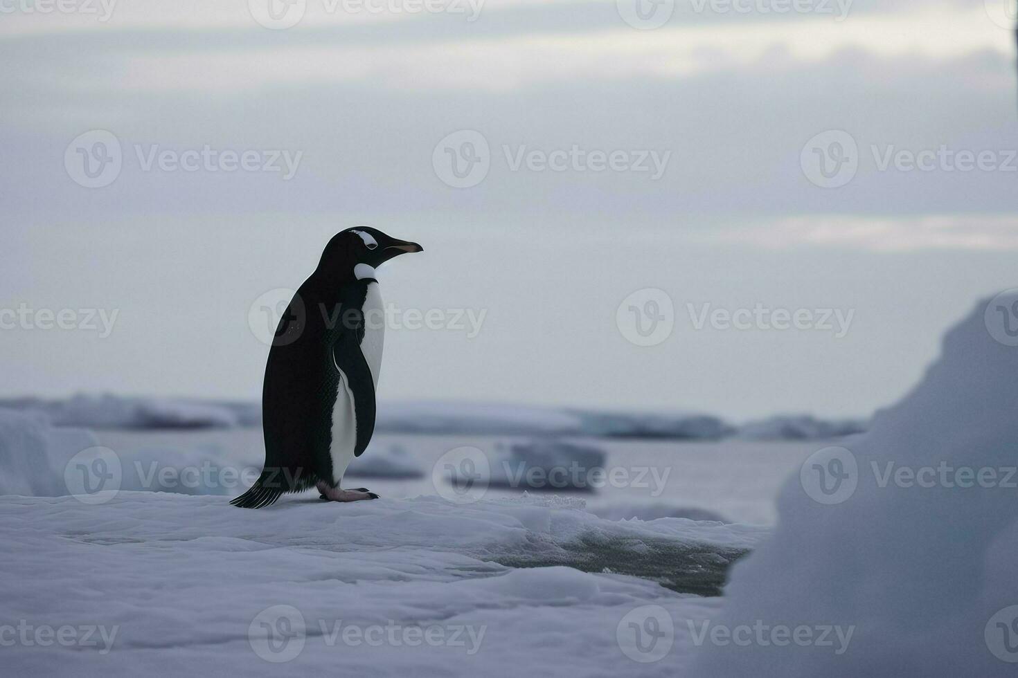 pingüinos mirar fijamente a el congelado mar. pingüinos a el postes, invierno concepto. generativo ai en Antártida. foto