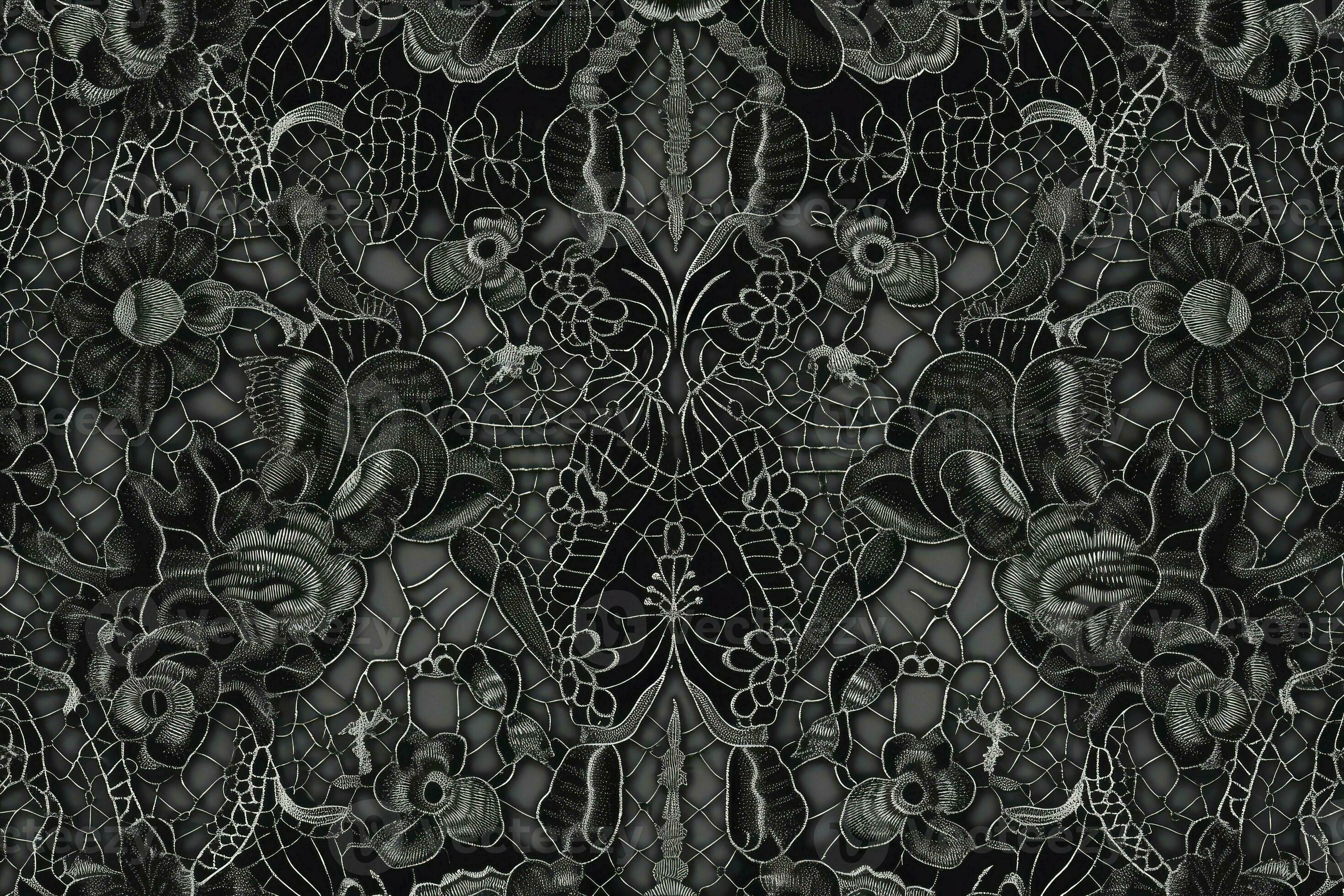 Black lace. Texture of black lace background. Victorian gothic style