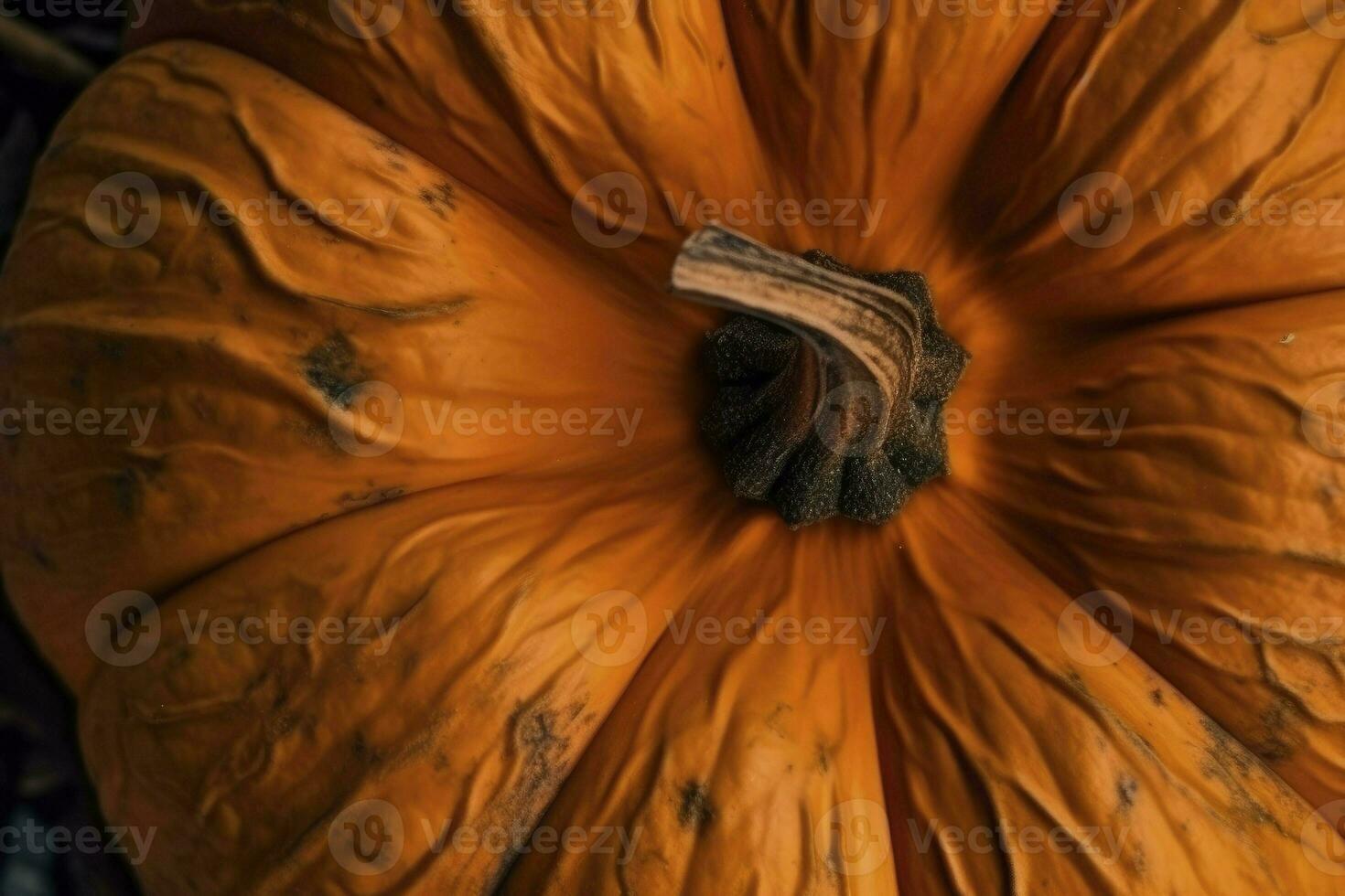 Texture of pumpkins. Pumpkin background. Generative AI photo