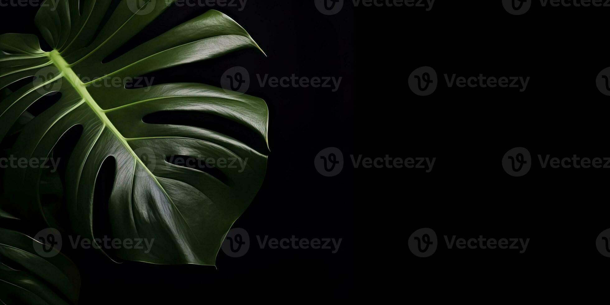 Tropical monstera leaf on black background. Creative minimal summer concept. generative AI photo