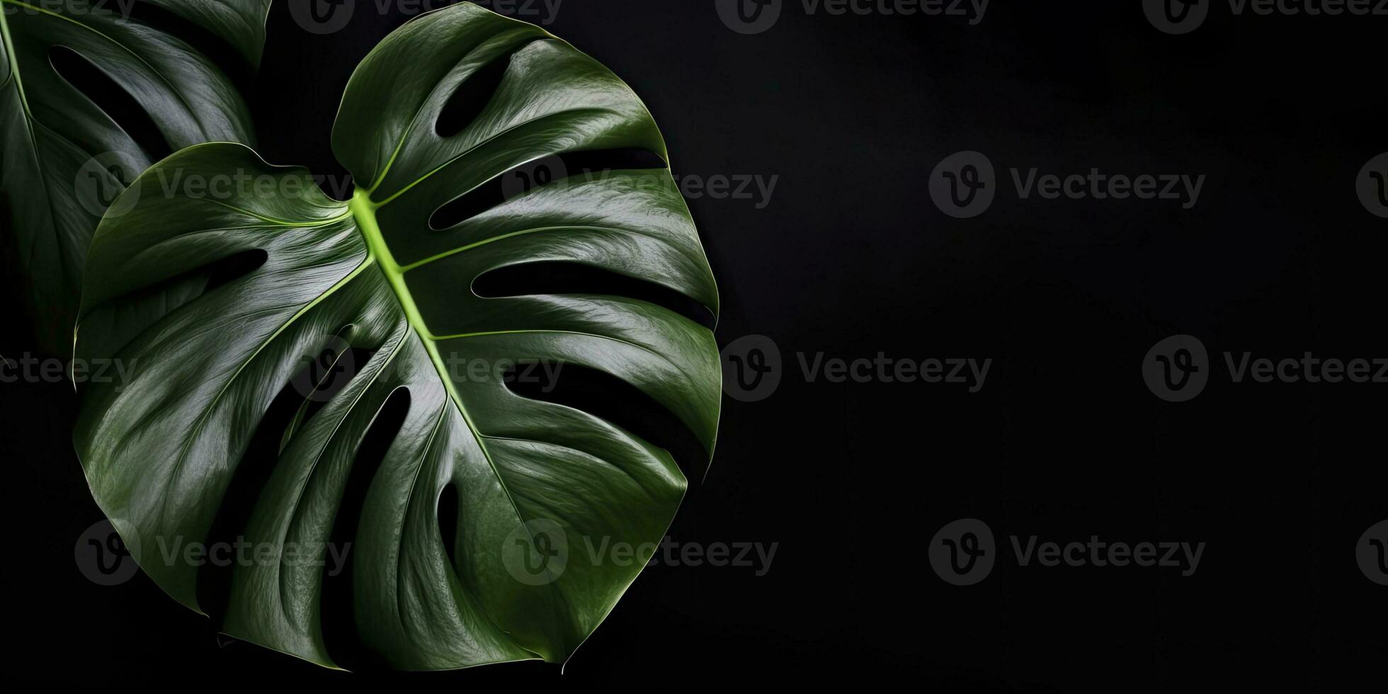 Tropical monstera leaf on black background. Creative minimal summer concept. generative AI photo