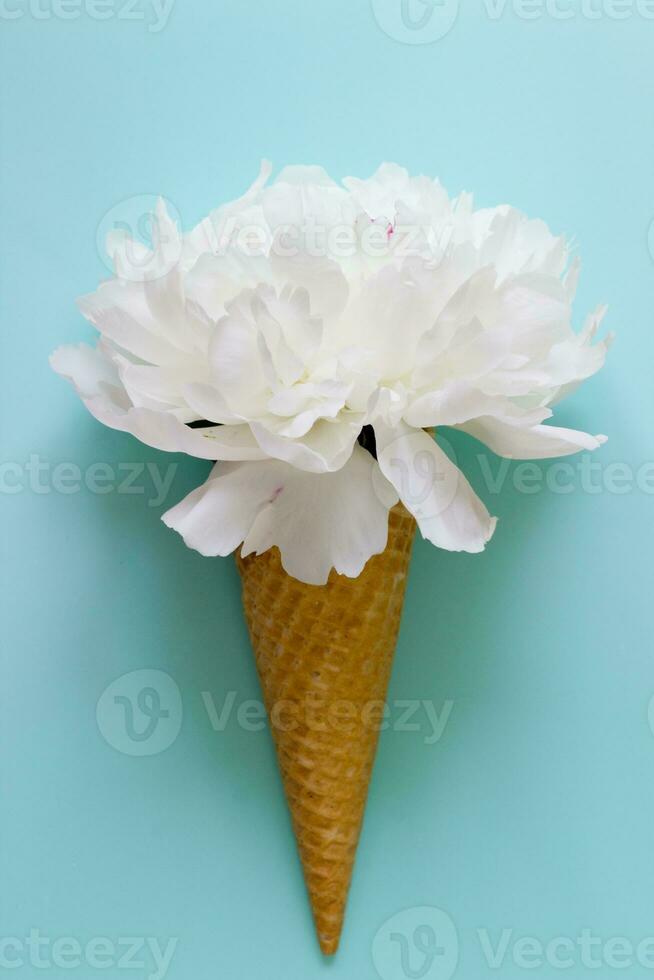 white flower in waffle ice cone.Peony bouquet ice cream on blue background.Floral greeting card for Mothers day, birthday.Tender cover design and accessories print. photo